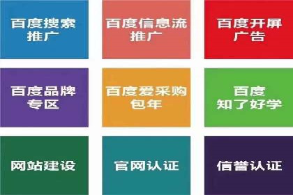 百度竞价运营策略：成功案例解析